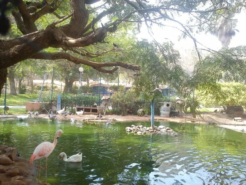 valley of birds; agadir morocco;inmoroccotravel.com