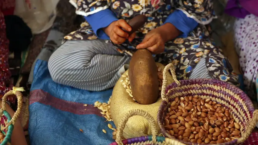 places to visit in essaouira argan oil cooperative in morocco's windy city