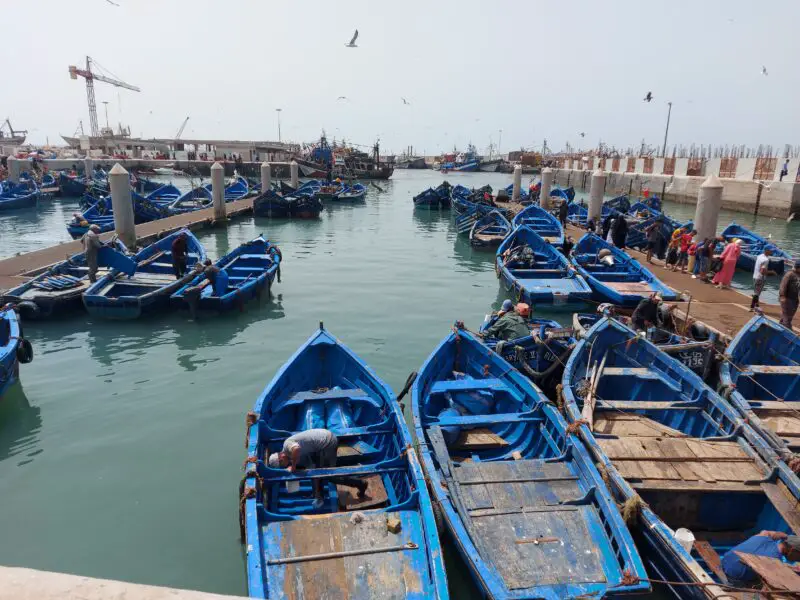 places to visit in essaouira fishing port in morocco's windy city 