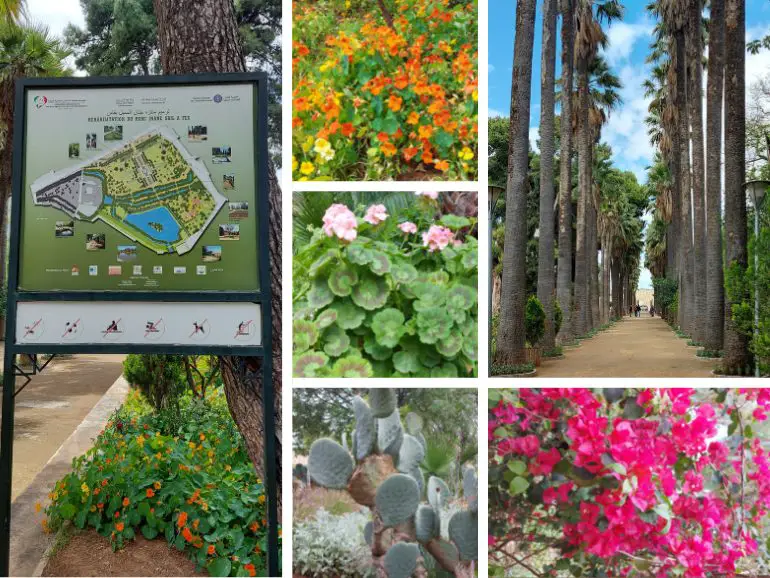 jnan sbil park; things to do in fez morocco